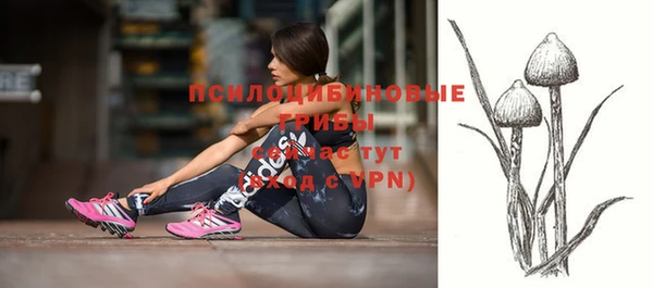 спайс Абаза