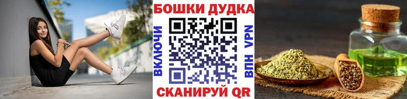 дарнет шоп  Сызрань  Конопля сатива 